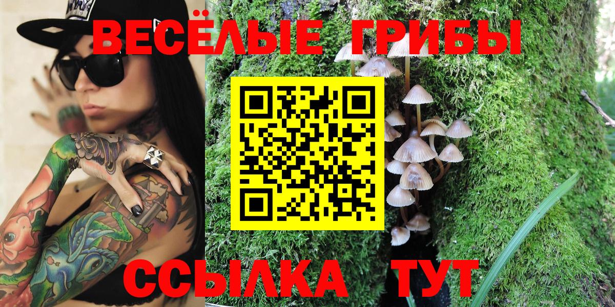 Гай  Галлюциногенные грибы Cubensis  Вход с VPN 