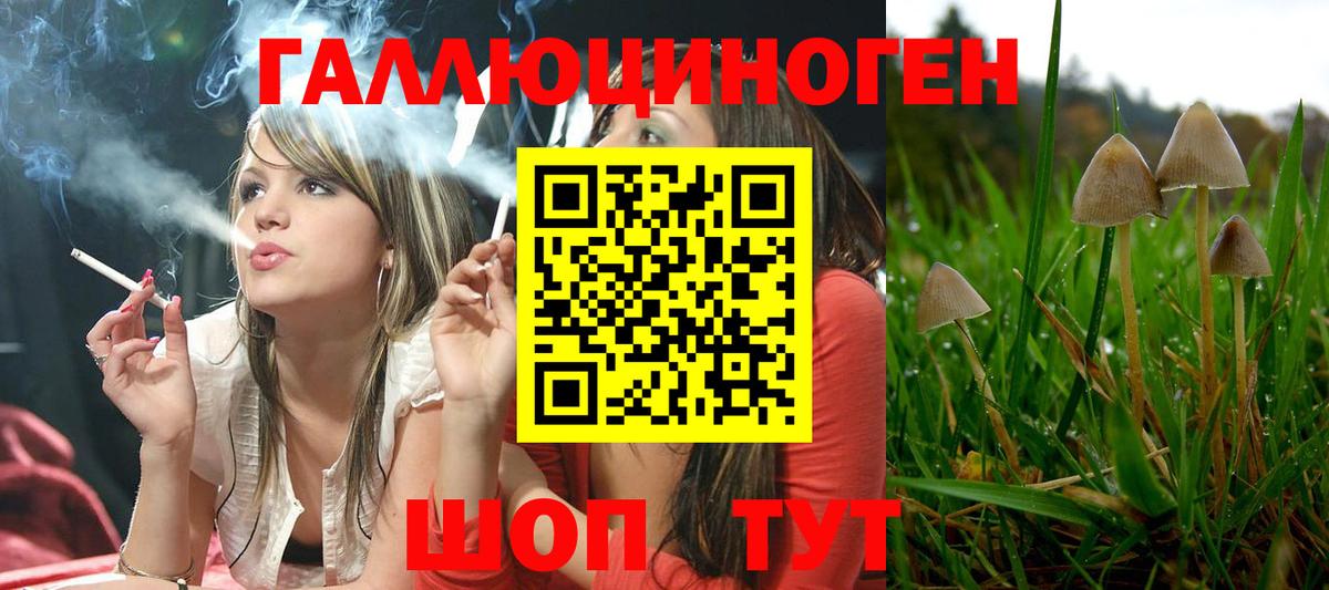 Псилоцибиновые грибы GOLDEN TEACHER Гай